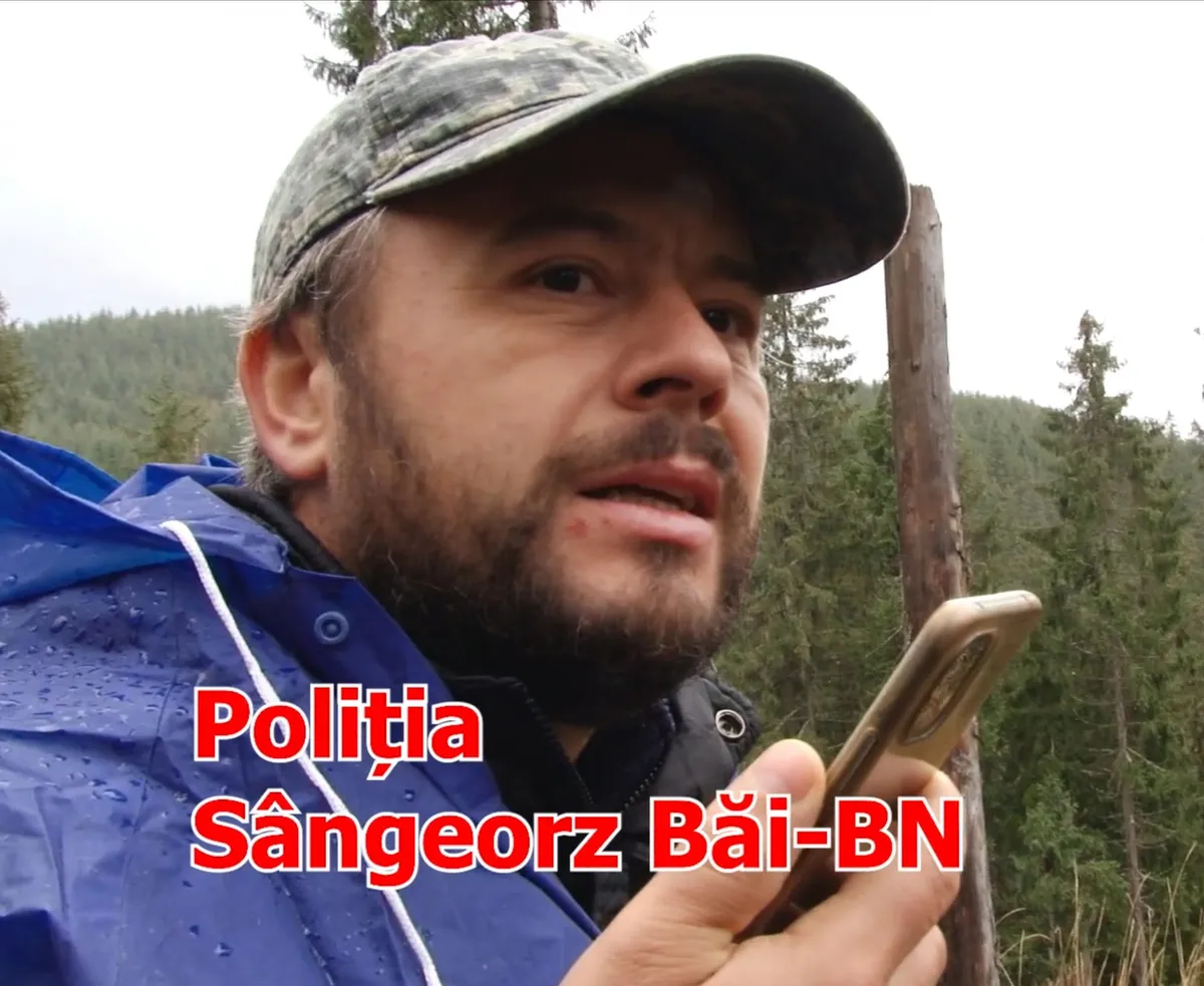 Haosul din poliția română este paradis pentru hoții de pădure