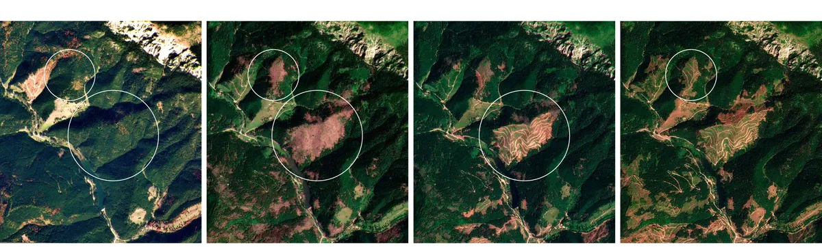 Existența Agent Green amenințată de o companie care pretinde milioane de euro la Tribunalul Harghita