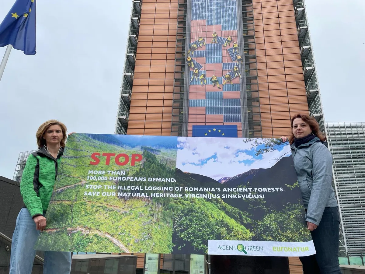 Protest Bruxelles pentru pădurea României