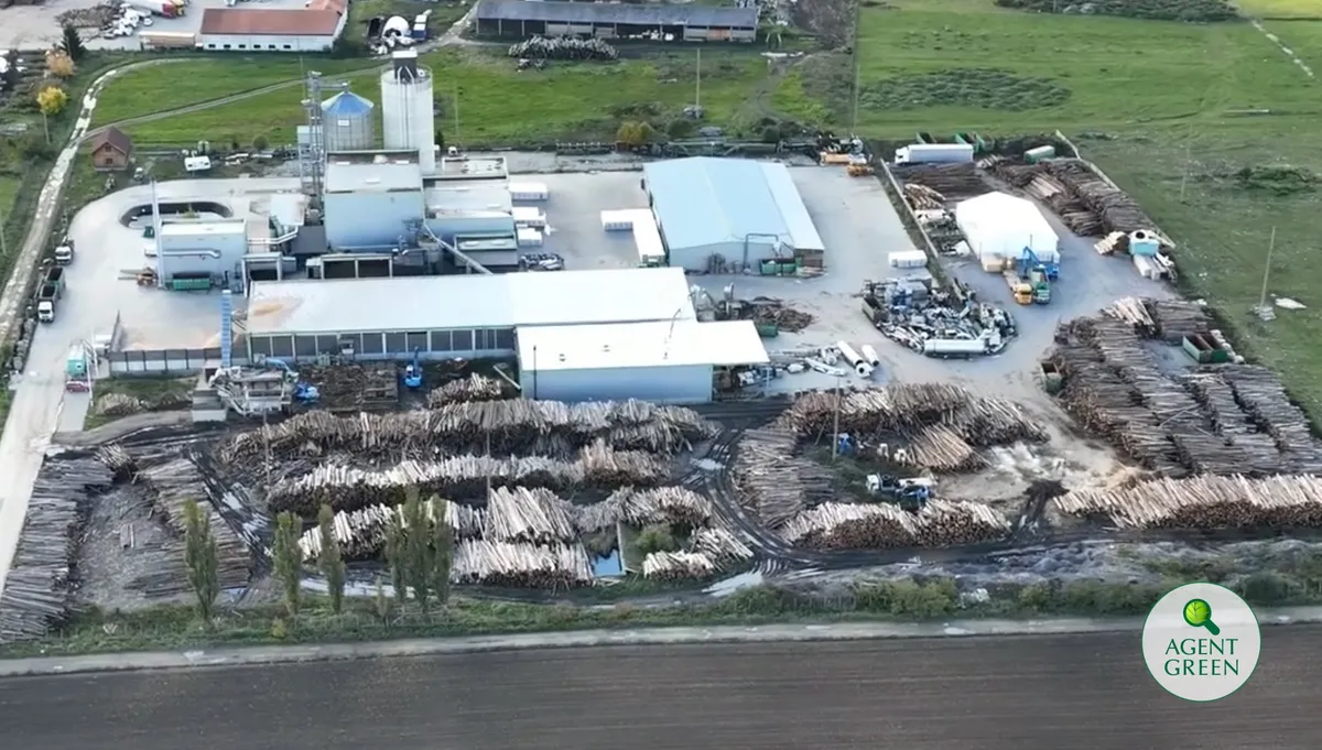 Oxford, Cambridge și alte 122 de entități din întreaga lume cer Ameco să renunțe la procesul abuziv împotriva ONG-ului român Agent Green