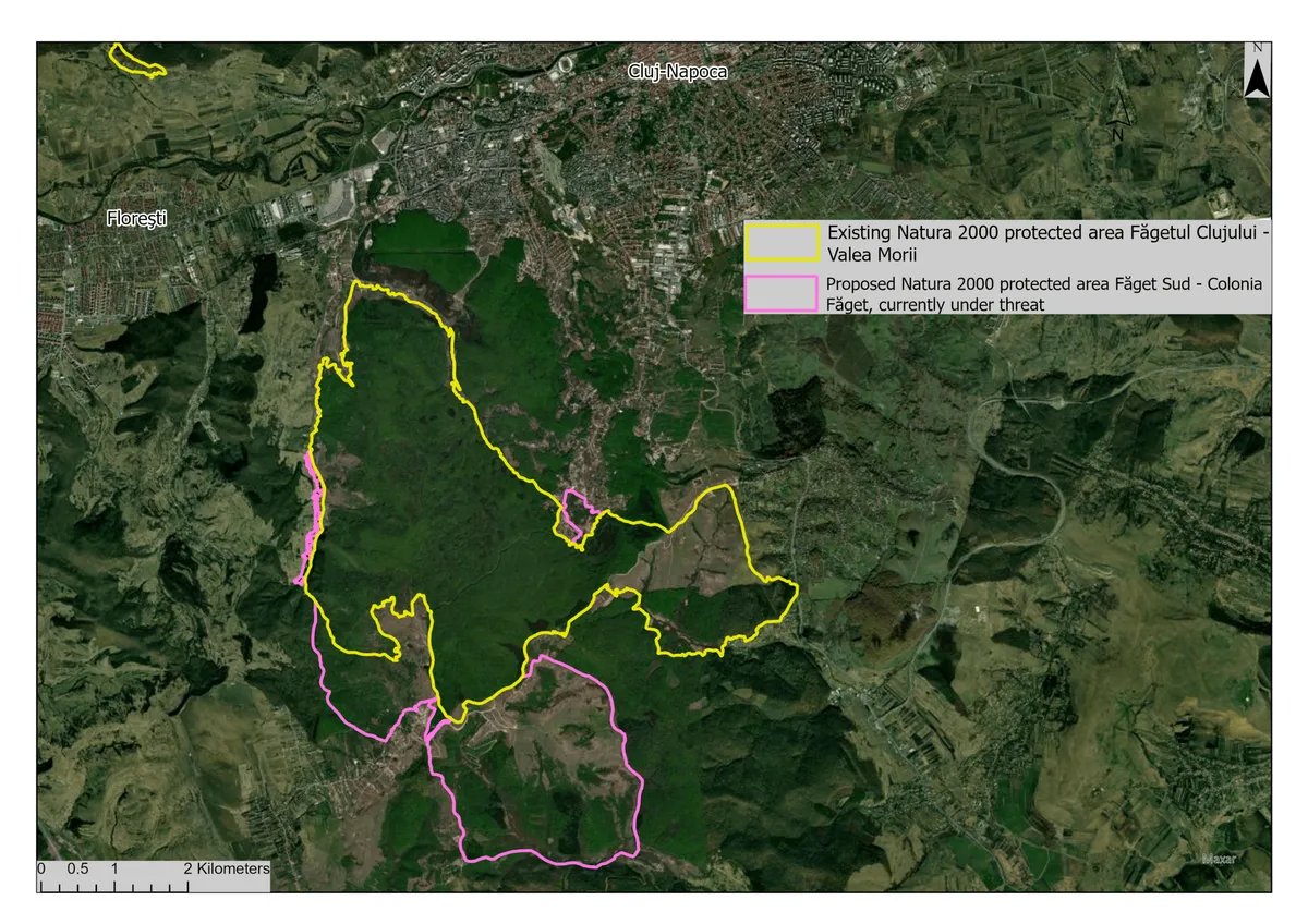 Scut european pentru protejarea zonei Faget amenintata de un proiect imobiliar