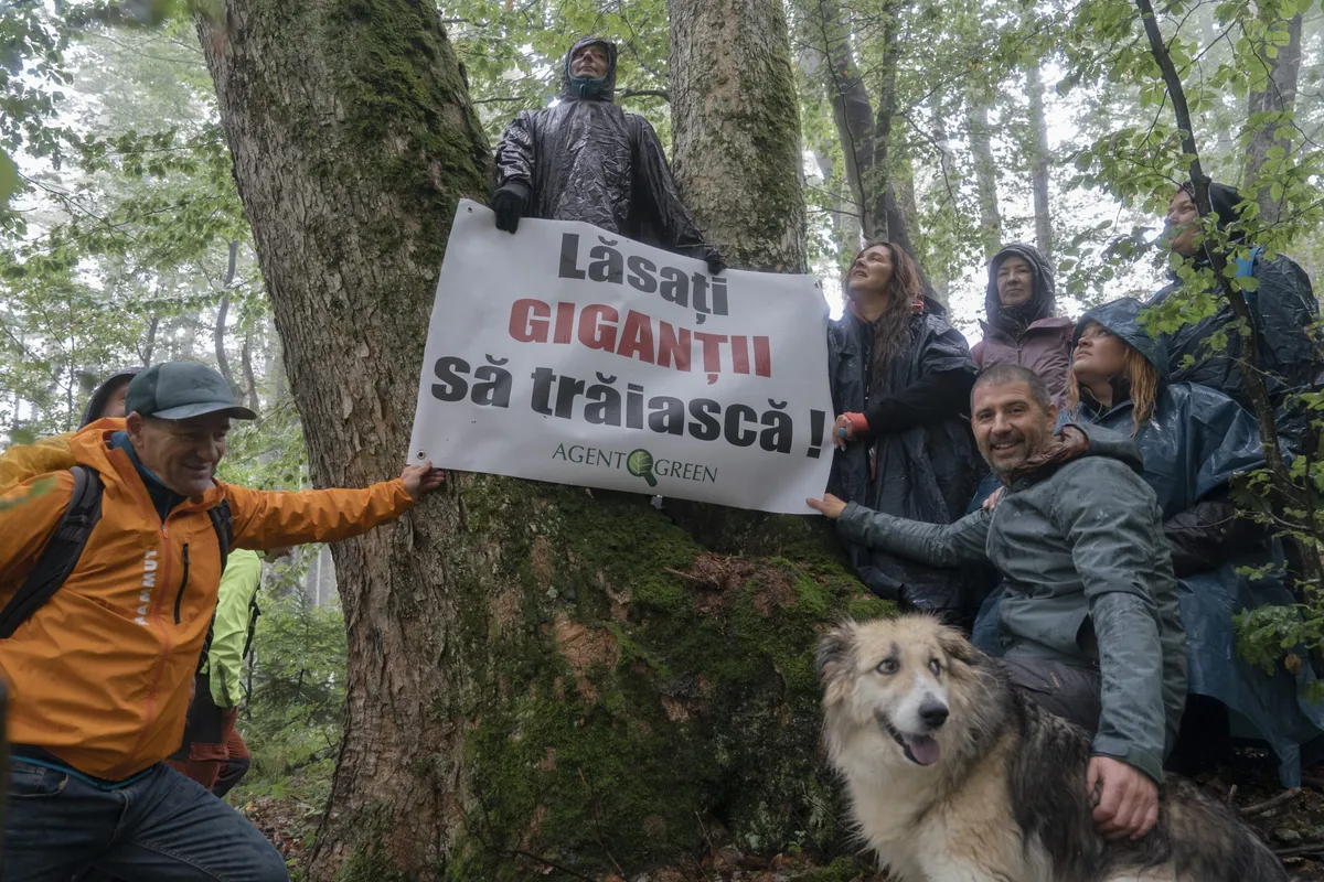 Ministerul Mediului încalcă legea și blochează protecția naturii