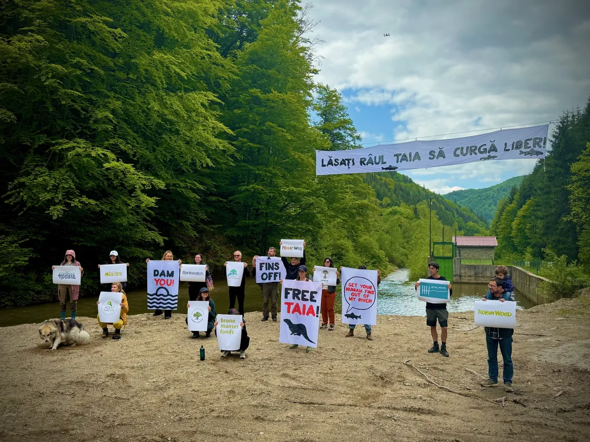 PROTEST pentru demolarea hidrocentralei ilegale de pe râul Taia