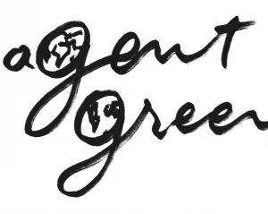 agent green desen de dan perjovschi