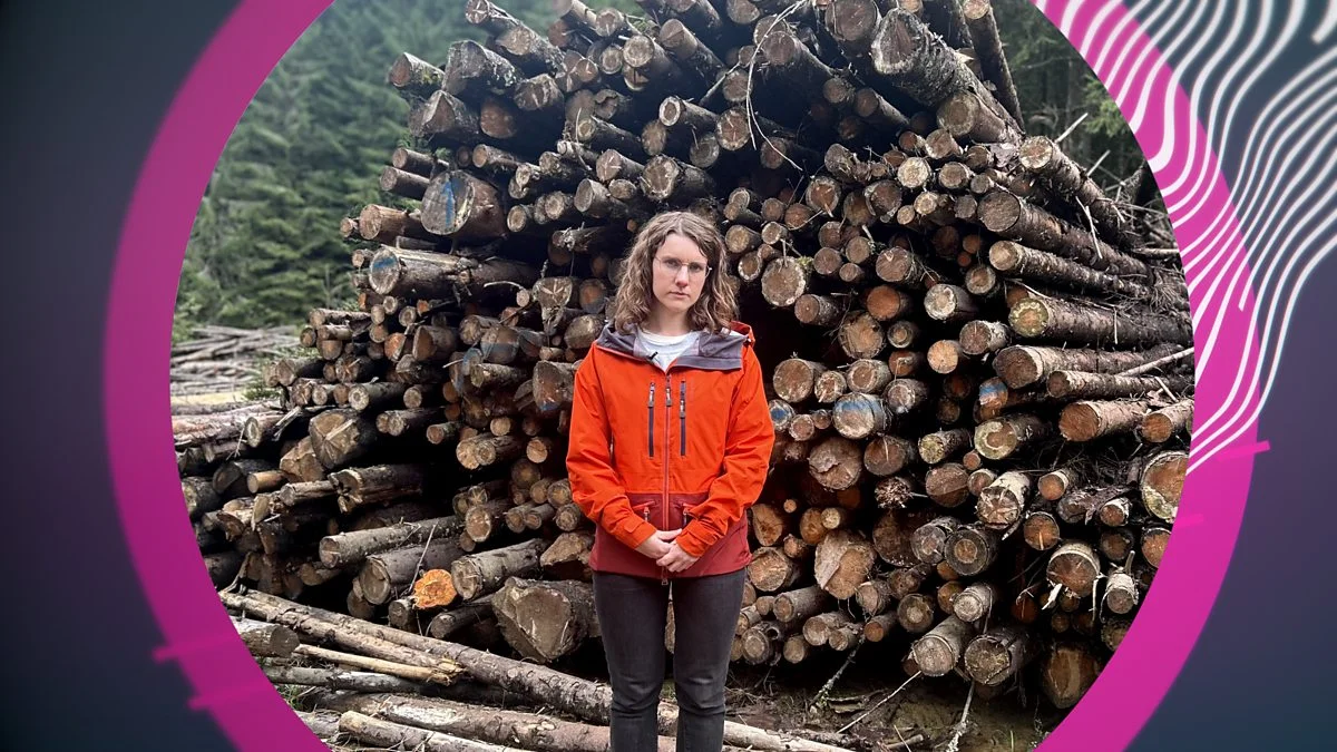 Romania's Vanishing Forests — BBC Scotland